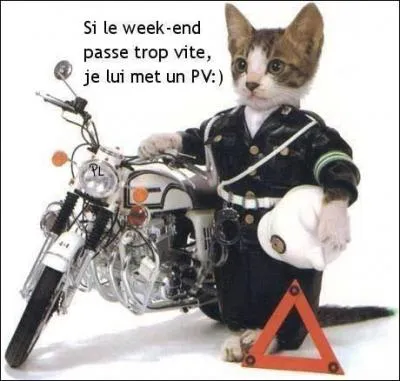 'J'aime les chats parce qu'il n'existe pas de chats policiers. ' De qui est cette citation ? (Indice : 'Marais' )