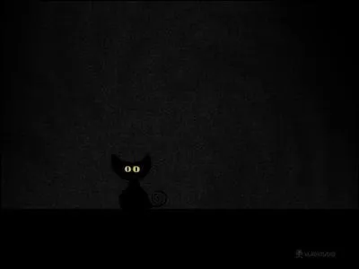 De quelle couleur sont tous les chats la nuit ? (Agrandissez l'image. ) ;-)