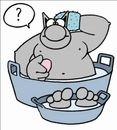 Si vous faites une toilette de chat, quel type de toilette faites-vous ?