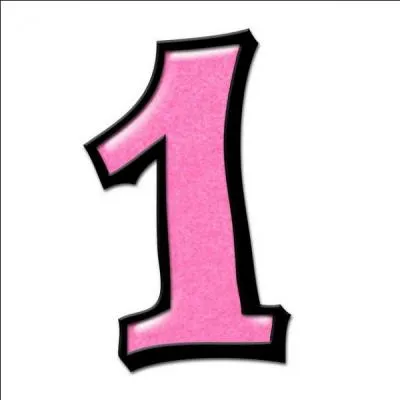 Comment s'appelle un nombre entier positif qui admet comme diviseurs seulement 1 et lui-même ?