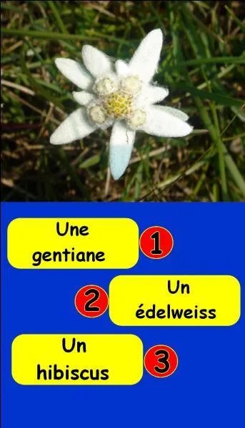 Quel est le bon numéro ?