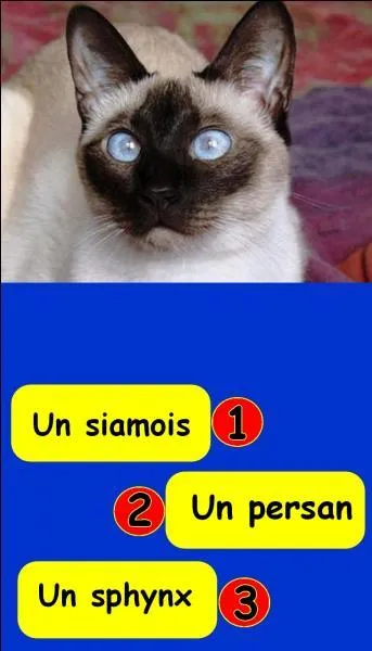 Quel est le bon numéro ?