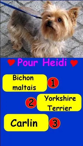 Quel est le bon numéro ?