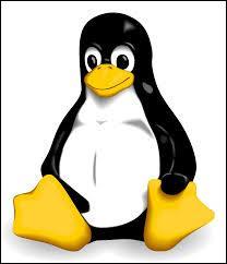 En informatique, quel système d'exploitation a pour logo un pingouin ?