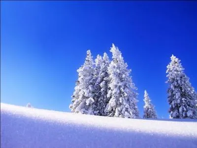 Quel nuage produit de la neige ?