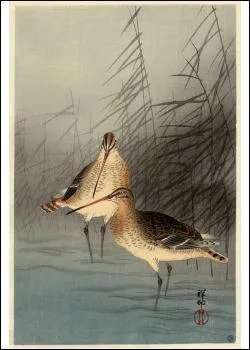 Estampe d'Ohara en 1926 ! Quel est son titre ?