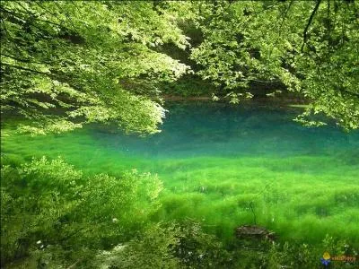 Que signifie "verde" ?