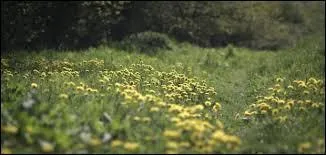 Combien Peeta et Katniss ont-ils d'enfants à la fin ?