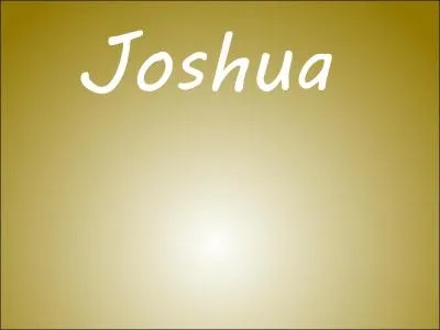 Il ne va pas forcément aller vers les autres, draguer directement une fille ; non ce n'est pas son truc. Joshua est...