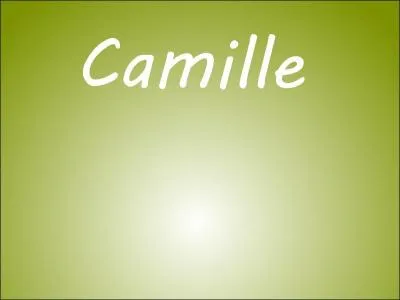 Quant à Camille, en cours avec elle, impossible de se concentrer. Elle a toujours un truc à raconter. Comment est-elle ?