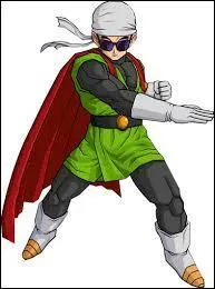 Quel est le nom du héros incarné par Gohan ? (Saga Boo)