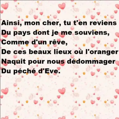 À quelle personne revenant d'Italie Georges Brassens écrit-il ?