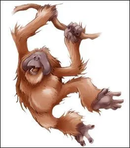 Arrêtez de faire le signe et trouvez la traduction de l'animal ci-dessous !