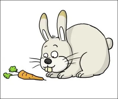 Traduisez "lapin" !