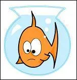 En anglais, "Fish" signifie "poisson".