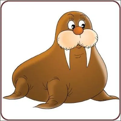 The walrus veut dire...
