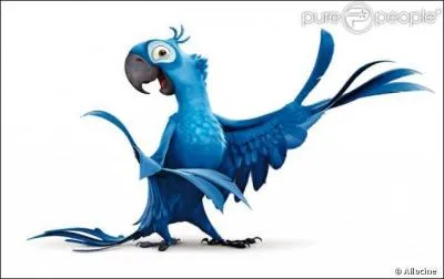 Comment s'appelle ce dessin animé ?