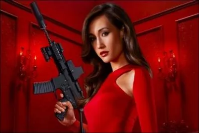 Quelle est cette série ?