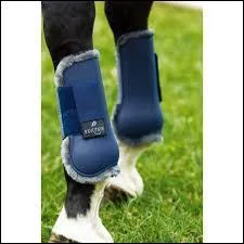 Que porte le cheval ?