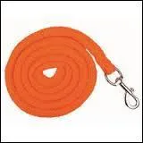 Comment appelle-t-on ceci ?