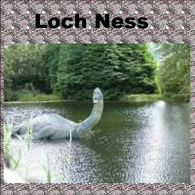 Comment surnomme-t-on le monstre du Loch Ness ?