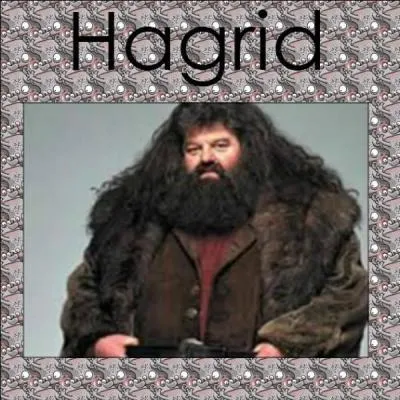 Dans l'univers d'Harry Potter, comment le frère de Rubeus Hagrid s'appelle-t-il ?