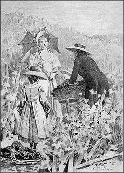 D'après le titre d'un roman de Balzac, où se trouve le lys ?