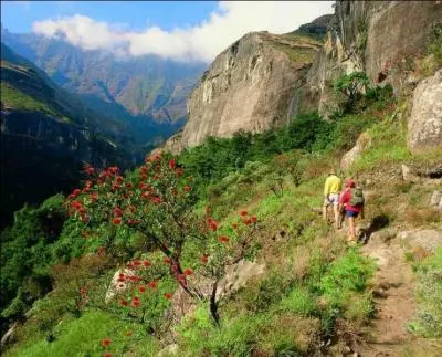 Sur quel continent se trouve l'ancienne colonie britannique du Natal ?