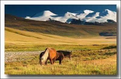 A qui doit-on la musique "Dans les Steppes de l'Asie centrale" ?