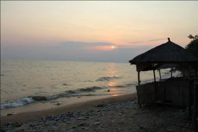 Qui chantait "Afrique Adieu" ?