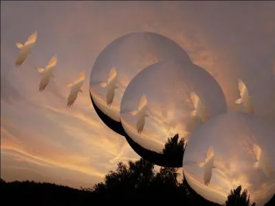 Qui chantait "Tout est neuf et tout est sauvage, libre continent sans grillage..."