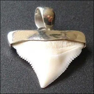 Trouvez le nom de ce film, tir&eacute; d'un roman !