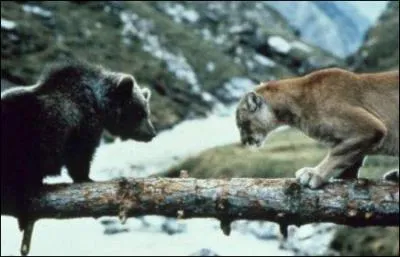 Respirez l'air pur de la montagne et trouvez le nom d'un r&eacute;alisateur fran&ccedil;ais !