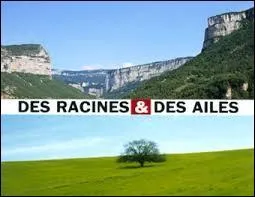 Sauvé de justesse par une rediffusion de 2013 sur TV5 Monde, 
je vais pouvoir faire la sieste ! 
"Long de 812 kilomètres, c'est le plus puissant des fleuves français...". 
Quel est le sujet du numéro 333 du magazine "Des racines et des ailes" ?