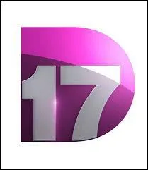 Si comme moi, vous avez déjà mal au crâne, je vous conseille de zapper D17 ! 
Que programme cette chaîne jusqu'en début de soirée ?