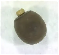 Quelle est cette chose ?