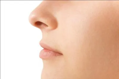 Le mot commence par FAN... et correspond à la description suivante :