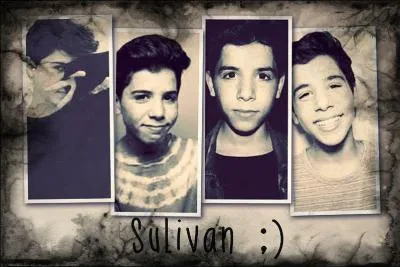 Un Panda Moqueur - Quel est son signe astrologique ?