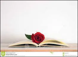 Qu'est ce qui était rouge pour John Steinbeck ?