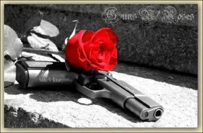 Dans la guerre des Deux-Roses, de quelle maison la rose rouge était-elle l'emblème ?