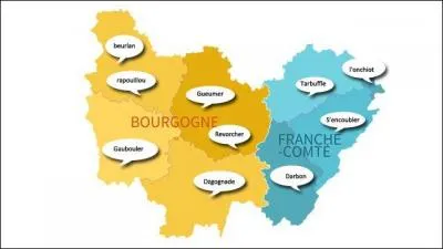 Vous ne sauriez vous satisfaire de dix questions simples, et comme vous voulez absolument manifester votre mécontentement, vous rouspétez et dites : "...", car j'aimerais trouver davantage de substance dans un quiz !