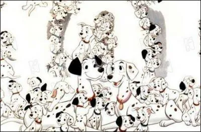 Combien de chiots le chien peut-il avoir ?