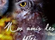 Quiz Nos amies les bêtes (5)