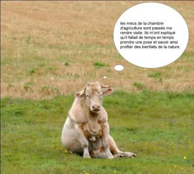 En 1868, il refuse de signer le traité de Fort-Laramie !