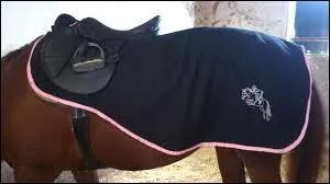 Comment s'appelle cet équipement ?