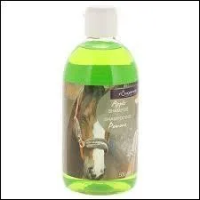 Où faut-il surtout doucher son cheval ?