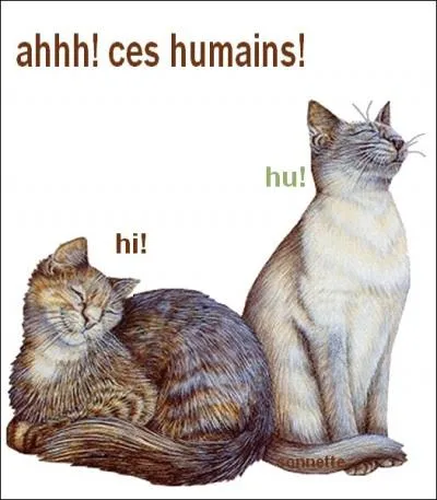 Une seule ne fait pas le printemps !