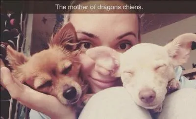 Natoo aime-t-elle Kitty ?