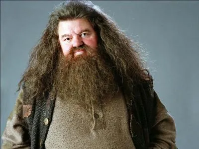 Dans quel film est Rubeus Hagrid ?