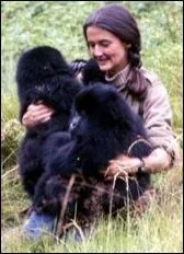 Ethologue américaine, elle est découverte assassinée dans la chambre de sa hutte dans les montagnes des Virunga, au Rwanda, le 27 décembre 1985. Son crâne a été fendu en deux par six coups de machette :
